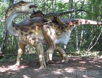 Łeba. Jurajski Park Dinozaurów (fot. Anna Niegowska)