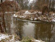 Park Krajobrazowy Dolina Baryczy (fot. Łukasz Konieczny)