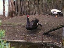 Cielętniki. Stawy (fot. Lidia Kamińska-Koj)