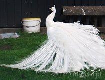 Cielętniki. Stawy (fot. Lidia Kamińska-Koj)