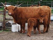 Cielętniki. Stawy (fot. Lidia Kamińska-Koj)