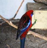 Cielętniki. Stawy (fot. Lidia Kamińska-Koj)