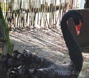 Cielętniki. Stawy (fot. Lidia Kamińska-Koj)