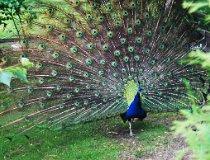 Cielętniki. Stawy (fot. Lidia Kamińska-Koj)