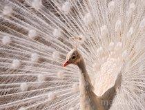 Cielętniki. Stawy (fot. Lidia Kamińska-Koj)