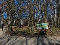 Częstochowa. Las Aniołowski (fot. Ewelina Ignaszak-Stolarska)