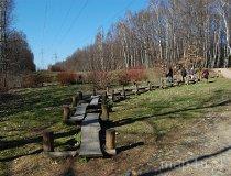 Częstochowa. Las Aniołowski (fot. Ewelina Ignaszak-Stolarska)