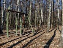Częstochowa. Las Aniołowski (fot. Ewelina Ignaszak-Stolarska)