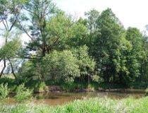 Przyłęk. Młyn (fot. Lidia Kamińska-Koj)