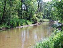 Przyłęk. Młyn (fot. Lidia Kamińska-Koj)