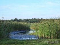Gmina Kaczory. Jezioro Kleszczynek (fot. Łukasz Konieczny)