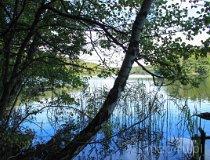 Gmina Kaczory. Jezioro Wapieńskie (fot. Łukasz Konieczny)
