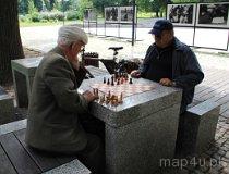 Seniorzy w parku w Częstochowie (fot. Daria Konieczna)