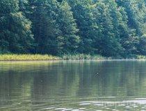 Gmina Lipka. Jezioro Gogolin Wielki (fot. Łukasz Konieczny)