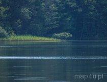 Gmina Lipka. Jezioro Gogolin Wielki (fot. Łukasz Konieczny)