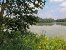 Gmina Lipka. Jezioro Łąkie (fot. Łukasz Konieczny)