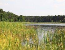 Gmina Złot&oacute;w. Jezioro Piaskowe (fot. Łukasz Konieczny)