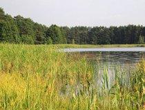 Gmina Złot&oacute;w. Jezioro Piaskowe (fot. Łukasz Konieczny)