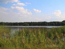 Gmina Złot&oacute;w. Jezioro Piaskowe (fot. Łukasz Konieczny)