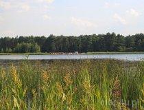 Gmina Złot&oacute;w. Jezioro Piaskowe (fot. Łukasz Konieczny)