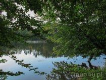 Gmina Tarnówka. Jezioro Ptuszowskie (fot. Łukasz Konieczny)