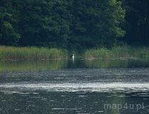 Gmina Tarnówka. Jezioro Ptuszowskie (fot. Łukasz Konieczny)