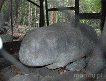 Ślęża (fot. Piotr Wojtaszek)