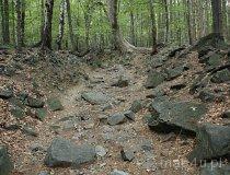 Ślęża (fot. Piotr Wojtaszek)