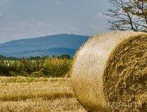 G&oacute;ra Ślęża (fot. Dolnośląska Organizacja Turystyczna)