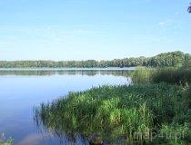 Gmina Trzcianka. Jezioro Długie (fot. Łukasz Konieczny)