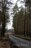 Bory Dolnośląskie. Lasy okolic Wąglińca (fot. Piotr Wojtaszek)