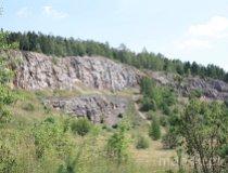 Rezerwat przyrody „Góra Rzepka" (fot. Łukasz Wandachowicz)