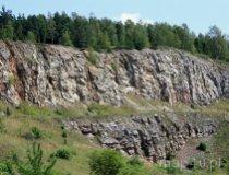 Rezerwat przyrody „Góra Rzepka" (fot. Łukasz Wandachowicz)