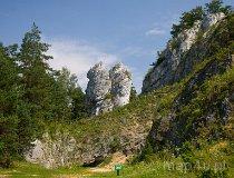 Podlesice. Rezerwat przyrody G&oacute;ra Zbor&oacute;w (fot. Agnieszka Drożdż i Jurek Hyra)