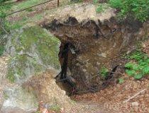 Niegowa. Jaskinia Kamiennego Gradu (fot. Lidia Kamińska-Koj)