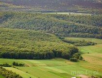 Rezerwat Bukowa Kępa (fot. Kacper Dondziak)