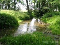 Sokolniki. Źr&oacute;dło Pani Halskiej (fot. Lidia Kamińska-Koj)