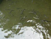 Korbiel&oacute;w. Dom Rekolekcyjny Dominikan&oacute;w (fot. Jakub Wawrzyniak)