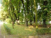Bytom. Park Miejski (fot. Janusz Dębowski)