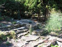 Zagwiździe. Ogród botaniczny (fot. Oliwia Korcz)