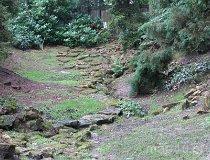 Zagwiździe. Ogród botaniczny (fot. Oliwia Korcz)