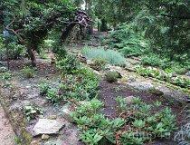 Zagwiździe. Ogród botaniczny (fot. Oliwia Korcz)