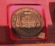 03.19.004. Medal (fot. Piotr Wojtaszek)