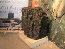 04.04.027. Bryła węgla kamiennego (fot. Piotr Wojtaszek)