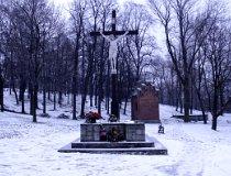02.01.002. Krzyż (fot. Agnieszka Rytel)