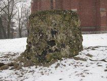 02.20.011. Ambona (fot. Agnieszka Rytel)