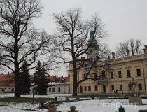 09.04.007. Pomnik przyrody (fot. Piotr Wojtaszek)