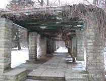 09.06.017. Pergola (fot. Piotr Wojtaszek)
