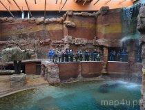 Wrocław. Afrykarium w ZOO (fot. Piotr Wojtaszek)