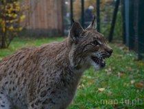 Wrocław. ZOO (fot. Piotr Wojtaszek)